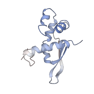 8618_5uyn_16_v1-4
70S ribosome bound with near-cognate ternary complex not base-paired to A site codon (Structure I-nc)