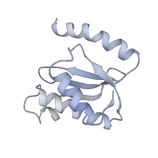 8618_5uyn_17_v1-4
70S ribosome bound with near-cognate ternary complex not base-paired to A site codon (Structure I-nc)