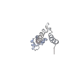 8618_5uyn_19_v1-4
70S ribosome bound with near-cognate ternary complex not base-paired to A site codon (Structure I-nc)