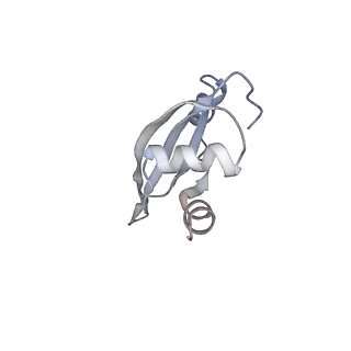 8618_5uyn_22_v1-4
70S ribosome bound with near-cognate ternary complex not base-paired to A site codon (Structure I-nc)