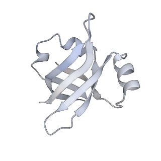 8618_5uyn_24_v1-4
70S ribosome bound with near-cognate ternary complex not base-paired to A site codon (Structure I-nc)