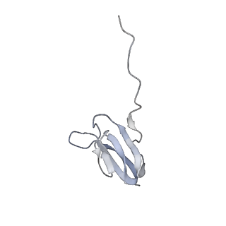 8618_5uyn_25_v1-3
70S ribosome bound with near-cognate ternary complex not base-paired to A site codon (Structure I-nc)