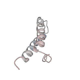 8618_5uyn_27_v1-4
70S ribosome bound with near-cognate ternary complex not base-paired to A site codon (Structure I-nc)