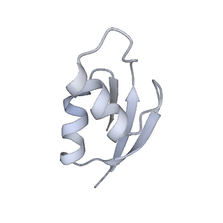 8618_5uyn_28_v1-4
70S ribosome bound with near-cognate ternary complex not base-paired to A site codon (Structure I-nc)