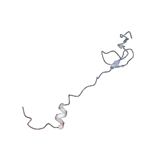 8618_5uyn_30_v1-4
70S ribosome bound with near-cognate ternary complex not base-paired to A site codon (Structure I-nc)