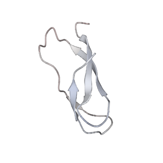 8618_5uyn_31_v1-4
70S ribosome bound with near-cognate ternary complex not base-paired to A site codon (Structure I-nc)