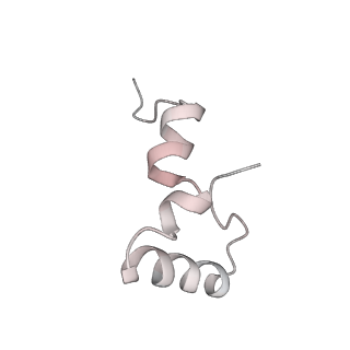 8618_5uyn_32_v1-3
70S ribosome bound with near-cognate ternary complex not base-paired to A site codon (Structure I-nc)