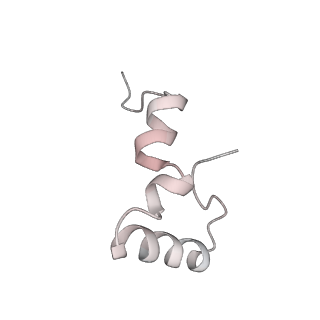 8618_5uyn_32_v1-4
70S ribosome bound with near-cognate ternary complex not base-paired to A site codon (Structure I-nc)