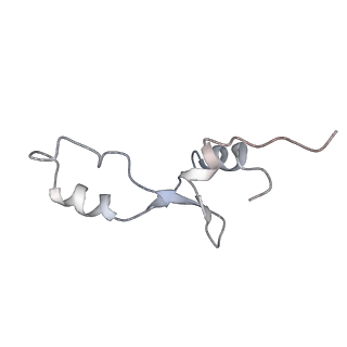 8618_5uyn_33_v1-3
70S ribosome bound with near-cognate ternary complex not base-paired to A site codon (Structure I-nc)