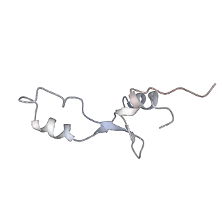 8618_5uyn_33_v1-4
70S ribosome bound with near-cognate ternary complex not base-paired to A site codon (Structure I-nc)