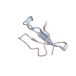 8618_5uyn_34_v1-4
70S ribosome bound with near-cognate ternary complex not base-paired to A site codon (Structure I-nc)