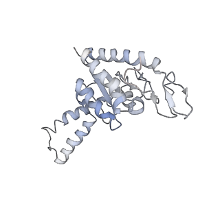 8618_5uyn_B_v1-3
70S ribosome bound with near-cognate ternary complex not base-paired to A site codon (Structure I-nc)