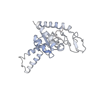 8618_5uyn_B_v1-4
70S ribosome bound with near-cognate ternary complex not base-paired to A site codon (Structure I-nc)