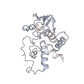 8618_5uyn_D_v1-3
70S ribosome bound with near-cognate ternary complex not base-paired to A site codon (Structure I-nc)