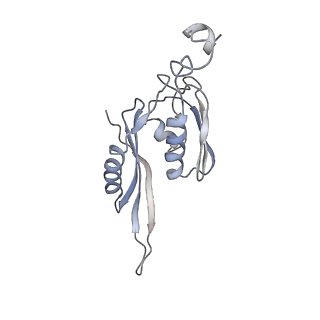 8618_5uyn_E_v1-3
70S ribosome bound with near-cognate ternary complex not base-paired to A site codon (Structure I-nc)