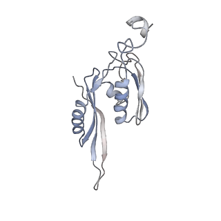 8618_5uyn_E_v1-4
70S ribosome bound with near-cognate ternary complex not base-paired to A site codon (Structure I-nc)