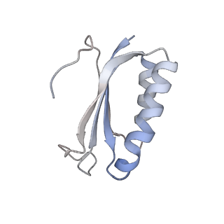 8618_5uyn_F_v1-3
70S ribosome bound with near-cognate ternary complex not base-paired to A site codon (Structure I-nc)