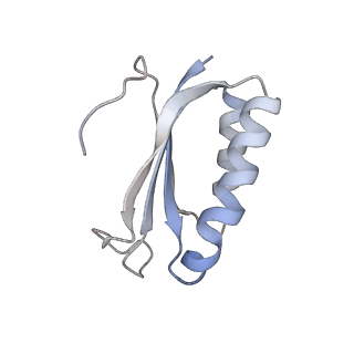 8618_5uyn_F_v1-4
70S ribosome bound with near-cognate ternary complex not base-paired to A site codon (Structure I-nc)