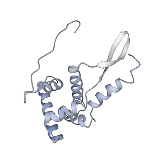 8618_5uyn_G_v1-4
70S ribosome bound with near-cognate ternary complex not base-paired to A site codon (Structure I-nc)