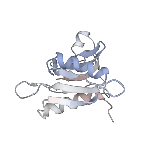 8618_5uyn_H_v1-3
70S ribosome bound with near-cognate ternary complex not base-paired to A site codon (Structure I-nc)