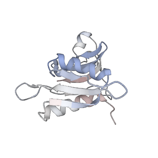 8618_5uyn_H_v1-4
70S ribosome bound with near-cognate ternary complex not base-paired to A site codon (Structure I-nc)