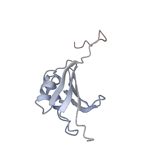 8618_5uyn_K_v1-4
70S ribosome bound with near-cognate ternary complex not base-paired to A site codon (Structure I-nc)