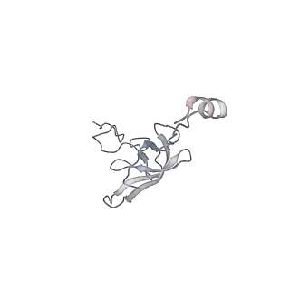8618_5uyn_L_v1-4
70S ribosome bound with near-cognate ternary complex not base-paired to A site codon (Structure I-nc)