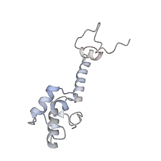 8618_5uyn_M_v1-4
70S ribosome bound with near-cognate ternary complex not base-paired to A site codon (Structure I-nc)