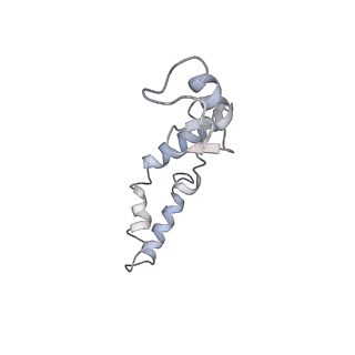 8618_5uyn_N_v1-3
70S ribosome bound with near-cognate ternary complex not base-paired to A site codon (Structure I-nc)