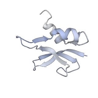 8618_5uyn_P_v1-3
70S ribosome bound with near-cognate ternary complex not base-paired to A site codon (Structure I-nc)
