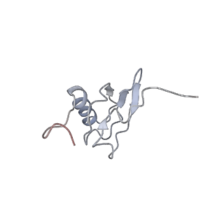 8618_5uyn_S_v1-3
70S ribosome bound with near-cognate ternary complex not base-paired to A site codon (Structure I-nc)