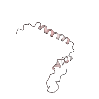 8618_5uyn_U_v1-3
70S ribosome bound with near-cognate ternary complex not base-paired to A site codon (Structure I-nc)