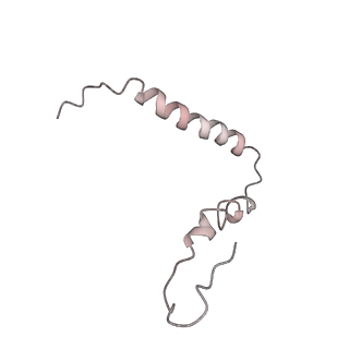 8618_5uyn_U_v1-4
70S ribosome bound with near-cognate ternary complex not base-paired to A site codon (Structure I-nc)