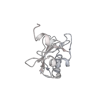 8619_5uyp_03_v1-4
70S ribosome bound with near-cognate ternary complex base-paired to A site codon, open 30S (Structure II-nc)