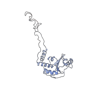 8619_5uyp_06_v1-3
70S ribosome bound with near-cognate ternary complex base-paired to A site codon, open 30S (Structure II-nc)