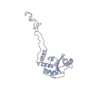 8619_5uyp_06_v1-4
70S ribosome bound with near-cognate ternary complex base-paired to A site codon, open 30S (Structure II-nc)