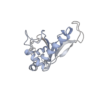 8619_5uyp_07_v1-4
70S ribosome bound with near-cognate ternary complex base-paired to A site codon, open 30S (Structure II-nc)