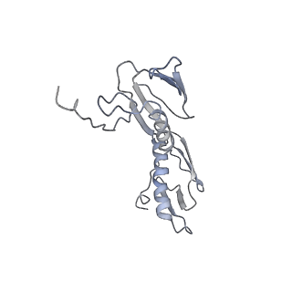 8619_5uyp_08_v1-4
70S ribosome bound with near-cognate ternary complex base-paired to A site codon, open 30S (Structure II-nc)