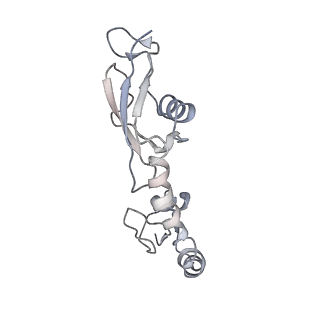 8619_5uyp_09_v1-4
70S ribosome bound with near-cognate ternary complex base-paired to A site codon, open 30S (Structure II-nc)