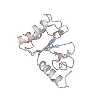 8619_5uyp_10_v1-4
70S ribosome bound with near-cognate ternary complex base-paired to A site codon, open 30S (Structure II-nc)