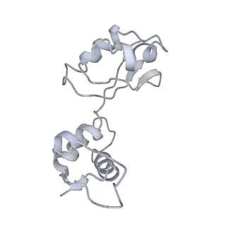 8619_5uyp_11_v1-4
70S ribosome bound with near-cognate ternary complex base-paired to A site codon, open 30S (Structure II-nc)