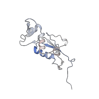 8619_5uyp_12_v1-3
70S ribosome bound with near-cognate ternary complex base-paired to A site codon, open 30S (Structure II-nc)