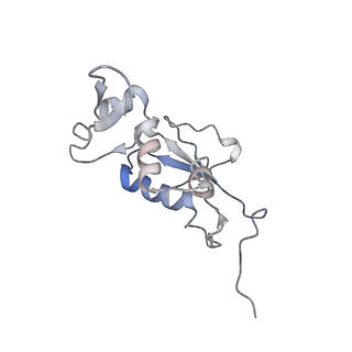 8619_5uyp_12_v1-4
70S ribosome bound with near-cognate ternary complex base-paired to A site codon, open 30S (Structure II-nc)