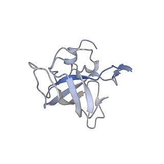 8619_5uyp_13_v1-4
70S ribosome bound with near-cognate ternary complex base-paired to A site codon, open 30S (Structure II-nc)