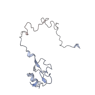 8619_5uyp_14_v1-4
70S ribosome bound with near-cognate ternary complex base-paired to A site codon, open 30S (Structure II-nc)