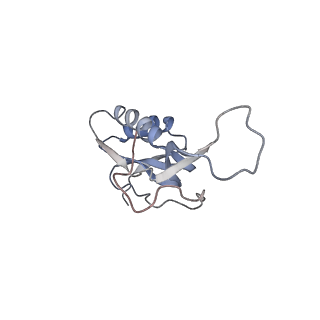 8619_5uyp_15_v1-4
70S ribosome bound with near-cognate ternary complex base-paired to A site codon, open 30S (Structure II-nc)