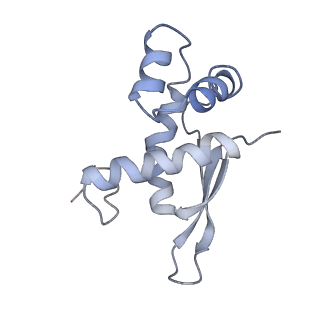 8619_5uyp_16_v1-3
70S ribosome bound with near-cognate ternary complex base-paired to A site codon, open 30S (Structure II-nc)