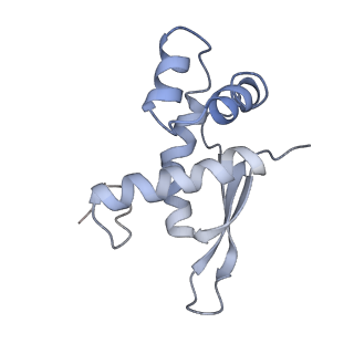 8619_5uyp_16_v1-4
70S ribosome bound with near-cognate ternary complex base-paired to A site codon, open 30S (Structure II-nc)