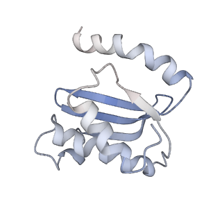 8619_5uyp_17_v1-4
70S ribosome bound with near-cognate ternary complex base-paired to A site codon, open 30S (Structure II-nc)