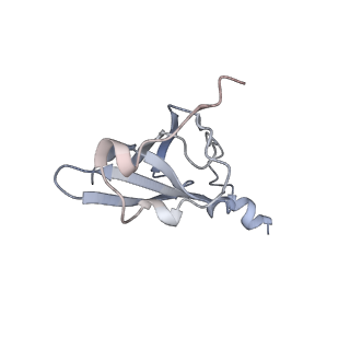 8619_5uyp_18_v1-4
70S ribosome bound with near-cognate ternary complex base-paired to A site codon, open 30S (Structure II-nc)